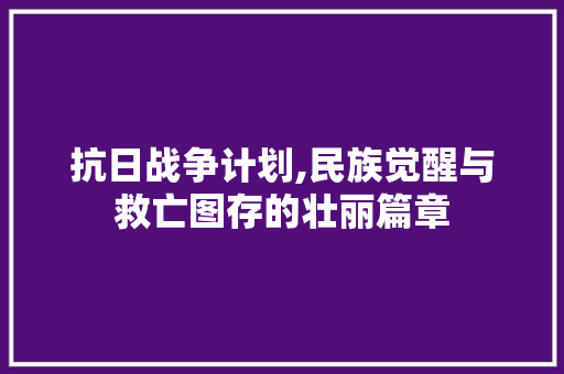 抗日战争计划,民族觉醒与救亡图存的壮丽篇章
