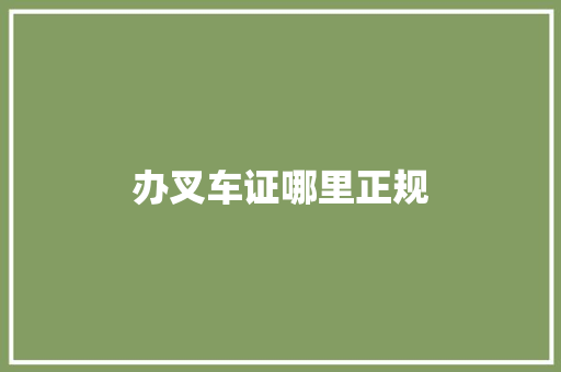 办叉车证哪里正规