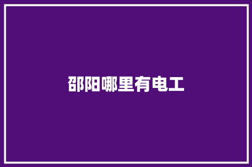 邵阳哪里有电工