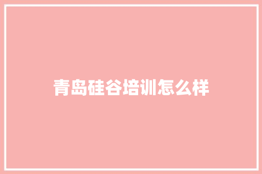 青岛硅谷培训怎么样 工作总结