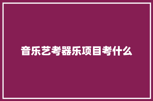 音乐艺考器乐项目考什么 诗词鉴赏