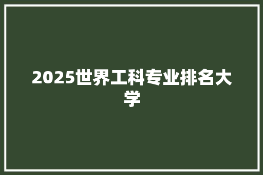 2025世界工科专业排名大学