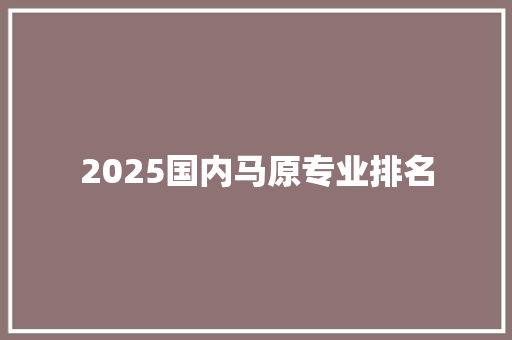 2025国内马原专业排名