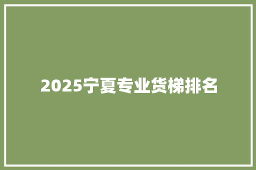 2025宁夏专业货梯排名