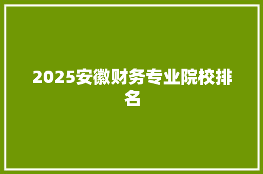 2025安徽财务专业院校排名
