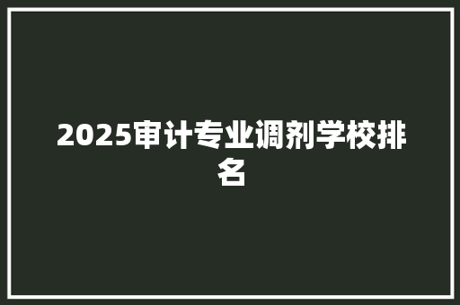 2025审计专业调剂学校排名
