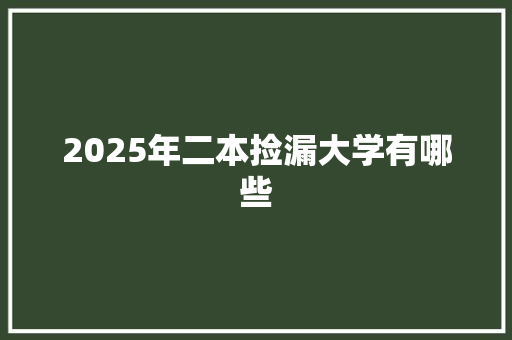 2025年二本捡漏大学有哪些