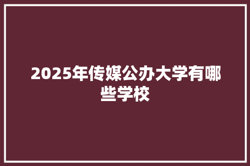 2025年传媒公办大学有哪些学校