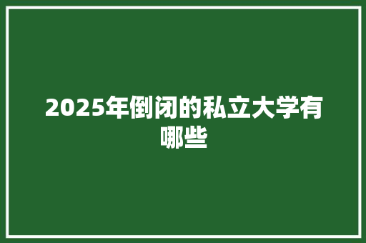 2025年倒闭的私立大学有哪些 工作总结
