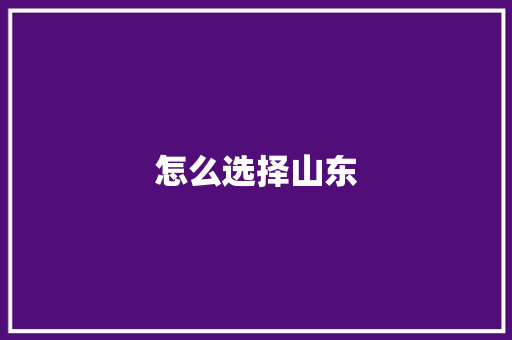 怎么选择山东