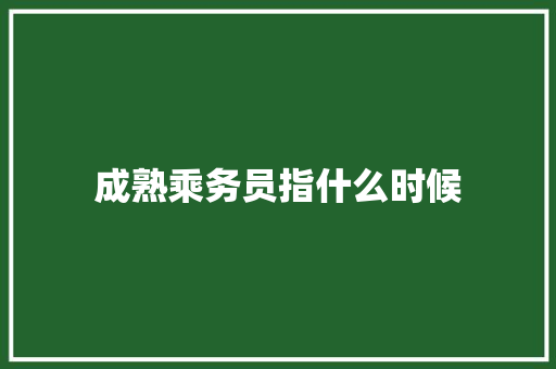 成熟乘务员指什么时候 工作总结