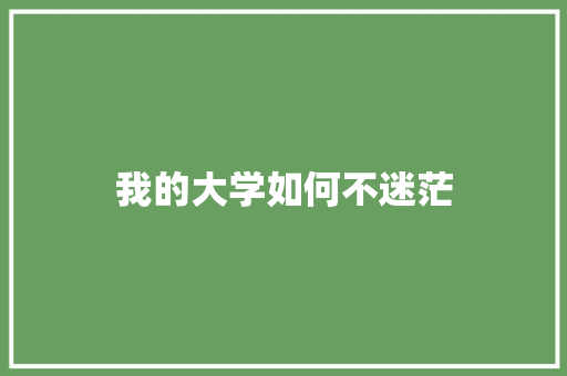 我的大学如何不迷茫