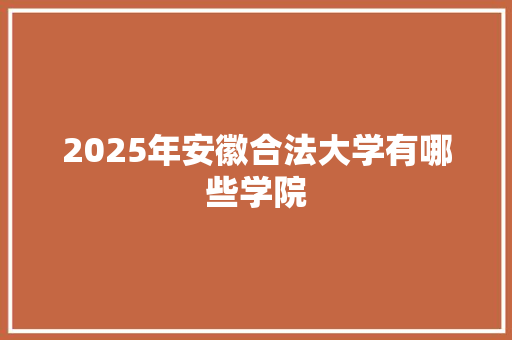 2025年安徽合法大学有哪些学院