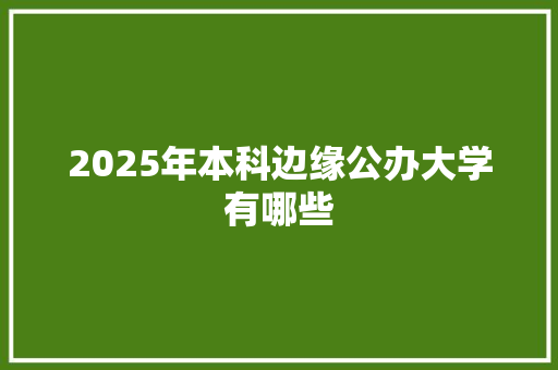 2025年本科边缘公办大学有哪些 个人简历
