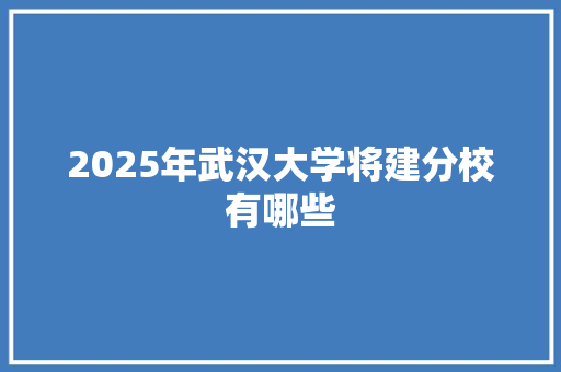 2025年武汉大学将建分校有哪些