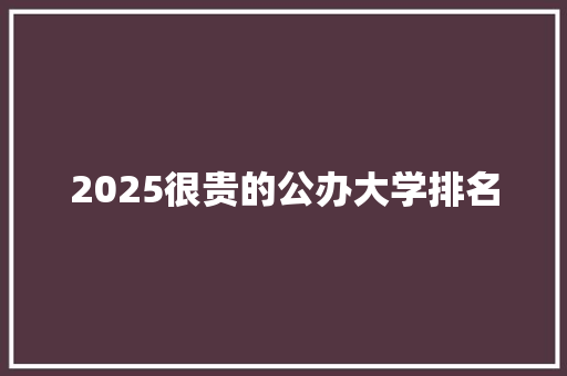 2025很贵的公办大学排名