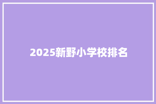 2025新野小学校排名 个人简历