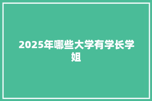 2025年哪些大学有学长学姐