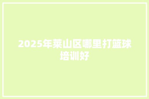2025年莱山区哪里打篮球培训好