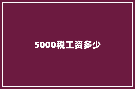 5000税工资多少