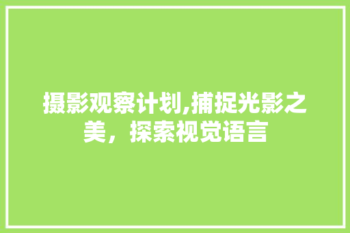 摄影观察计划,捕捉光影之美，探索视觉语言