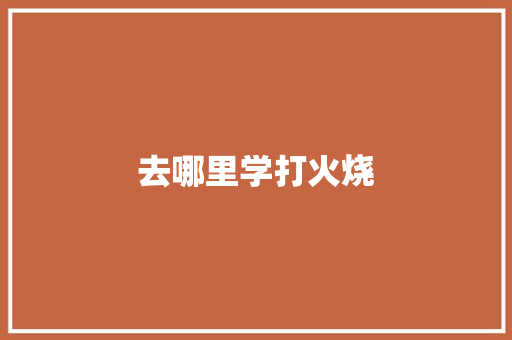 去哪里学打火烧