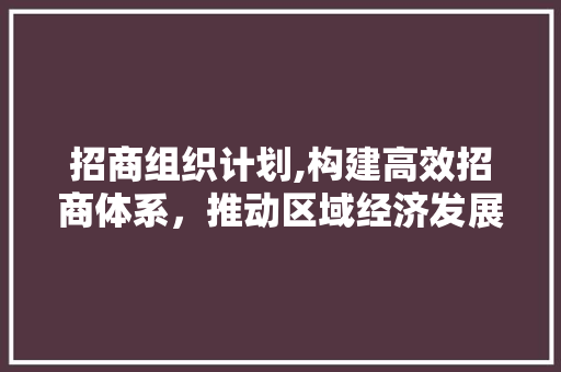 招商组织计划,构建高效招商体系，推动区域经济发展