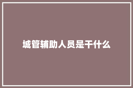 城管辅助人员是干什么