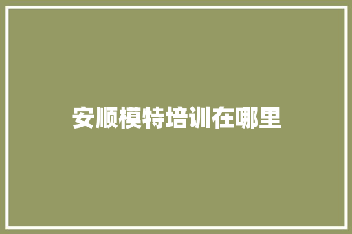 安顺模特培训在哪里