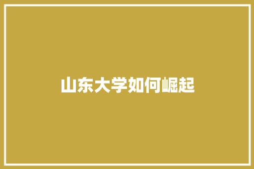 山东大学如何崛起 个人简历