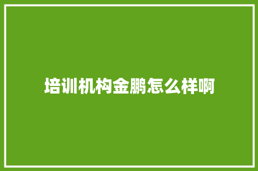 培训机构金鹏怎么样啊