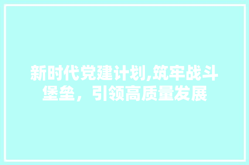 新时代党建计划,筑牢战斗堡垒，引领高质量发展 成语大全
