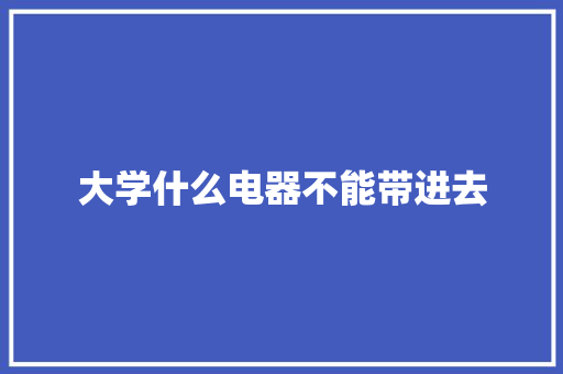 大学什么电器不能带进去