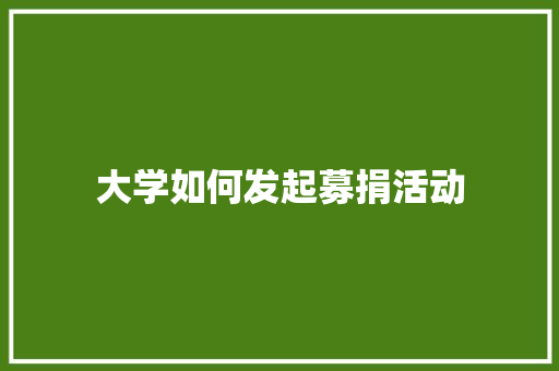 大学如何发起募捐活动