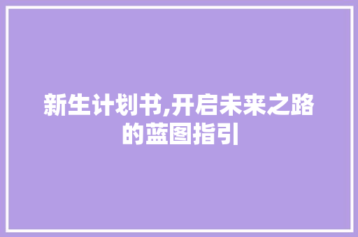新生计划书,开启未来之路的蓝图指引