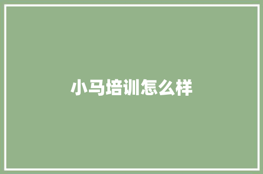 小马培训怎么样