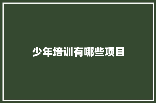 少年培训有哪些项目