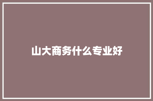 山大商务什么专业好