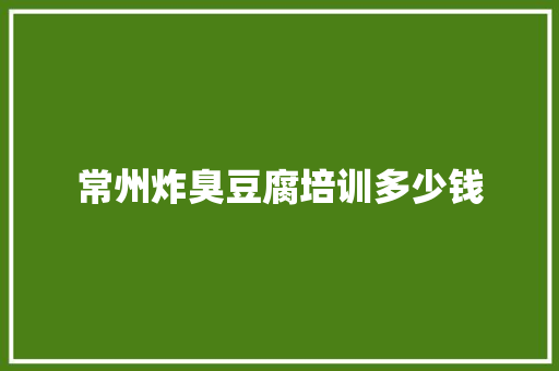 常州炸臭豆腐培训多少钱