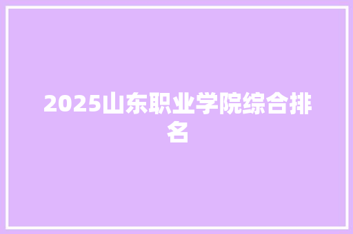 2025山东职业学院综合排名