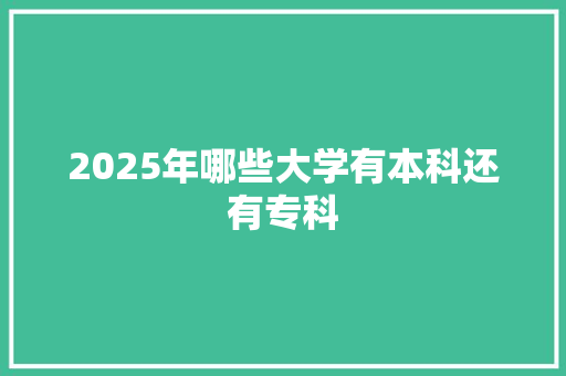 2025年哪些大学有本科还有专科 工作总结