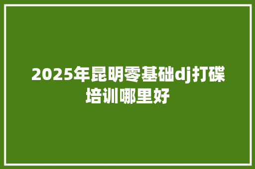 2025年昆明零基础dj打碟培训哪里好