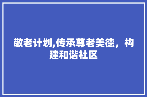 敬老计划,传承尊老美德，构建和谐社区