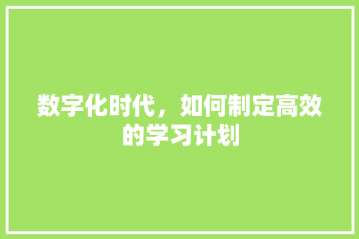 数字化时代，如何制定高效的学习计划 成语大全