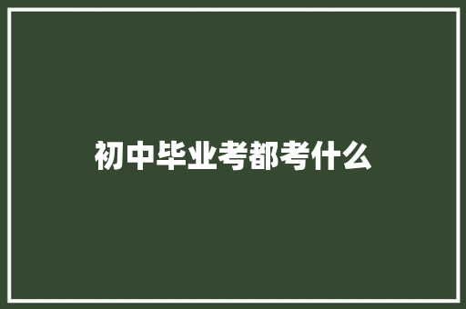 初中毕业考都考什么