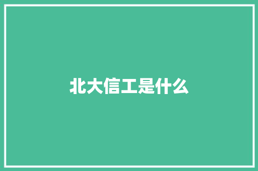 北大信工是什么