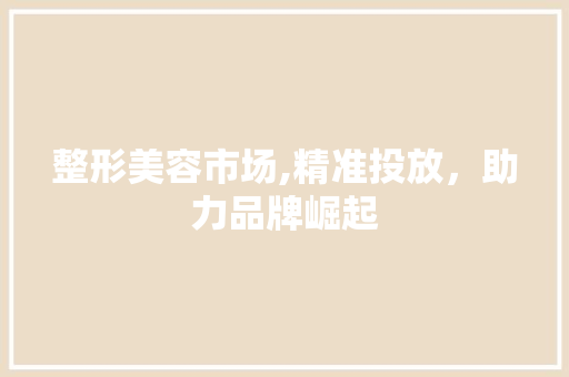 整形美容市场,精准投放，助力品牌崛起 合同范本