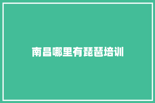 南昌哪里有琵琶培训