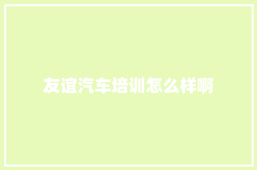 友谊汽车培训怎么样啊