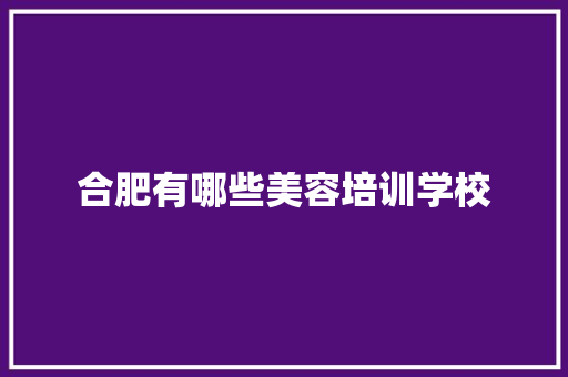 合肥有哪些美容培训学校